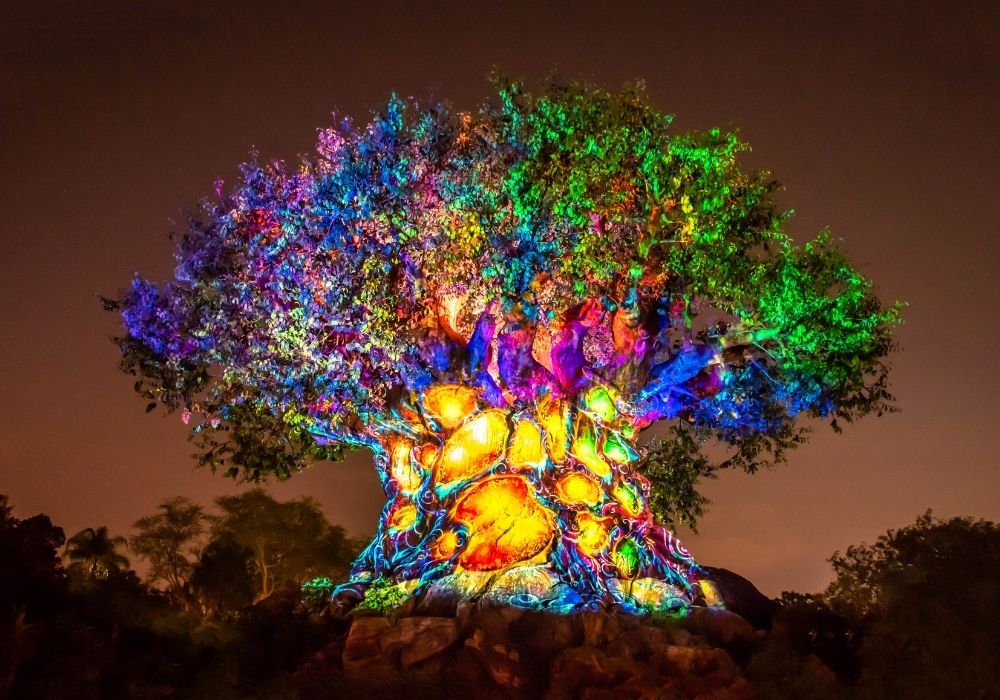 Disney World Animal Kingdom Tree of Life Awakenings during the winter
