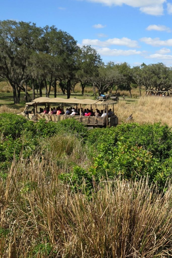 Kilimanjaro Safari at Animal Kingdom, which is a great ride to experience in colder winter months at Disney World