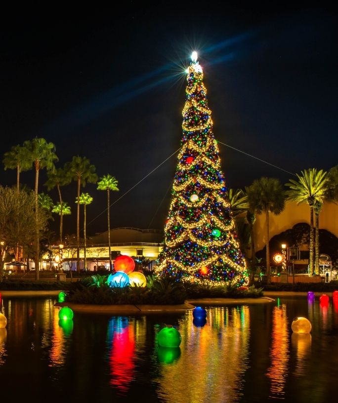 Christmas tree in Hollywood Studios at Disney World during the Winter