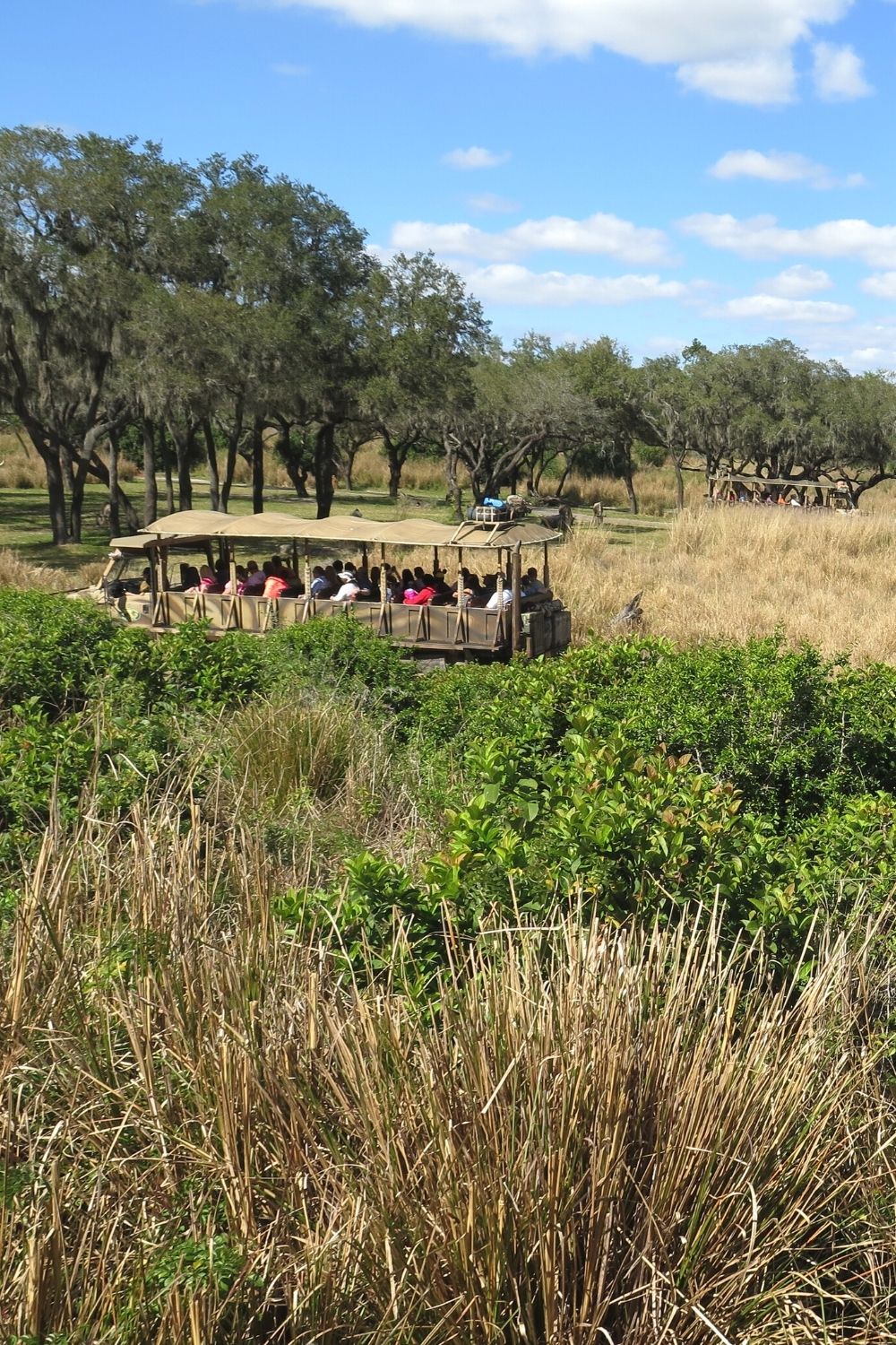 Kilimanjaro safari ride at Disney's Animal Kingdom
