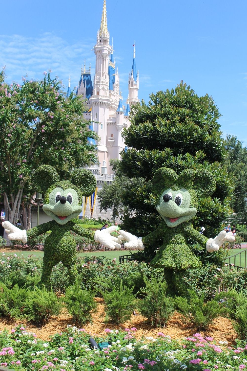 Mickey and Minnie topiaries in Magic Kingdom at Disney World