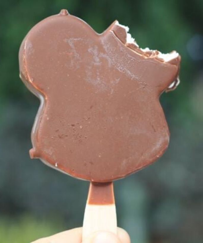 a Mickey's Premium Ice Cream Bar at Disney World