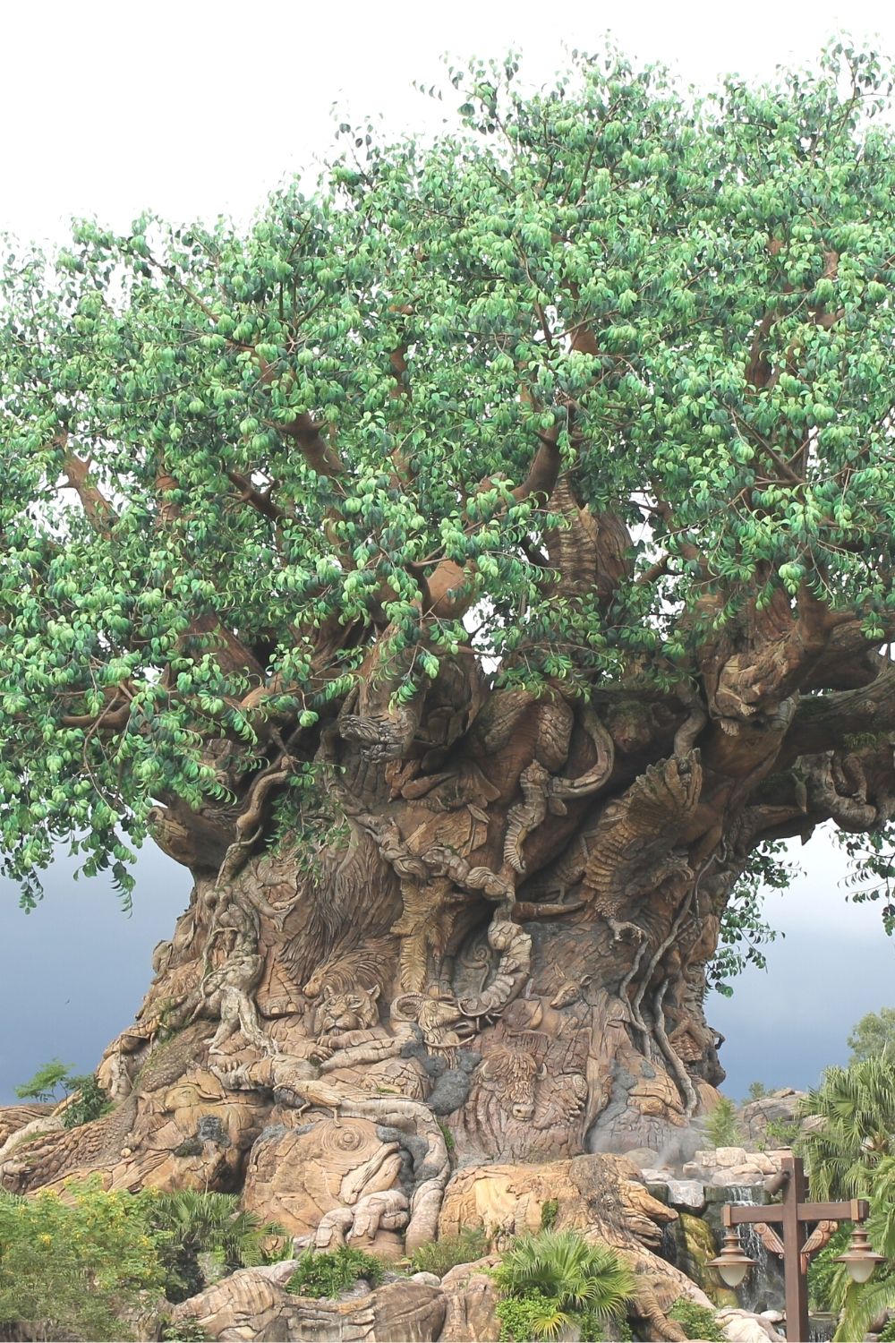 tree of life at animal kingdom in disney world