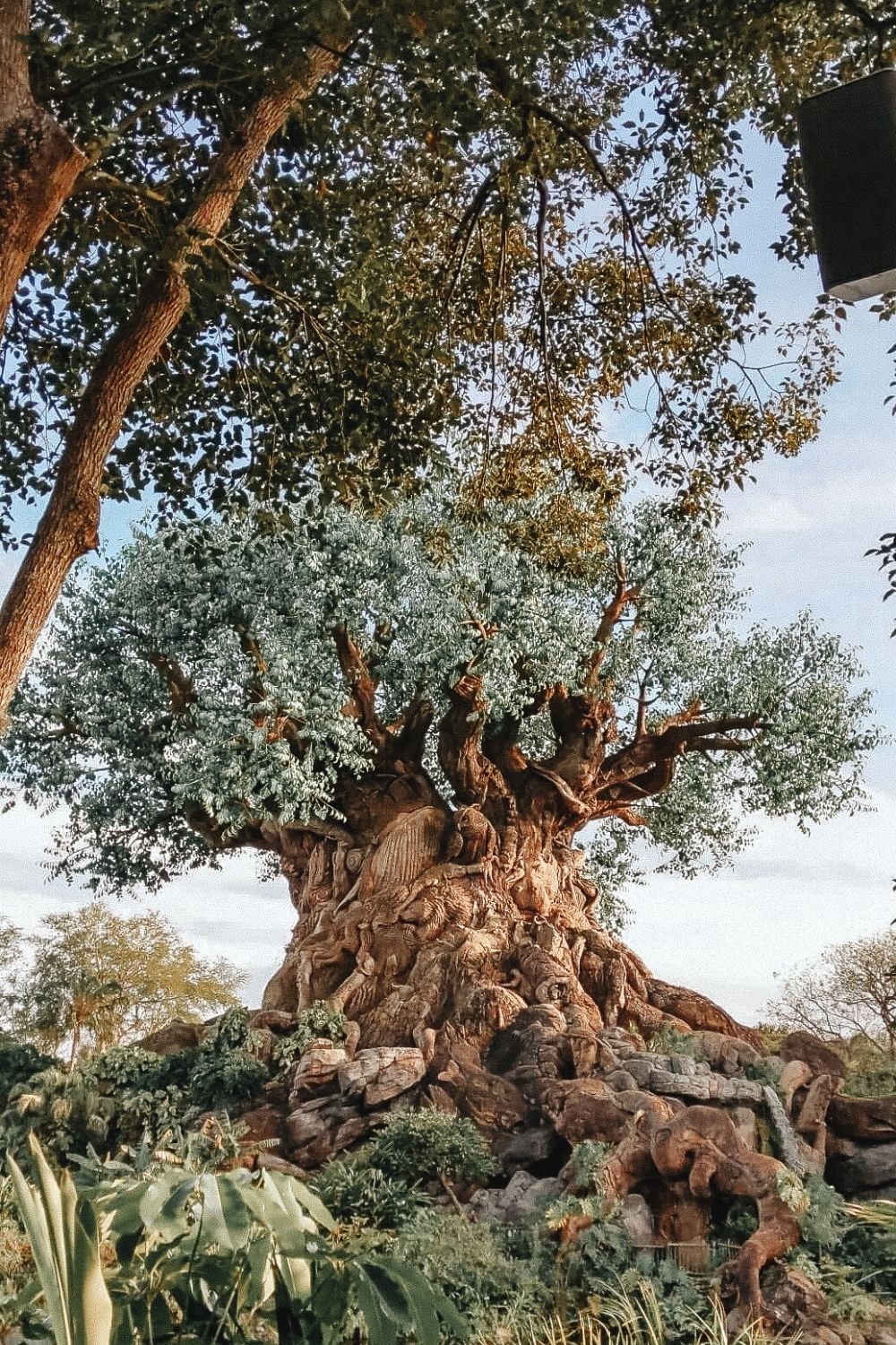 Tree of Life at Animal Kingdom