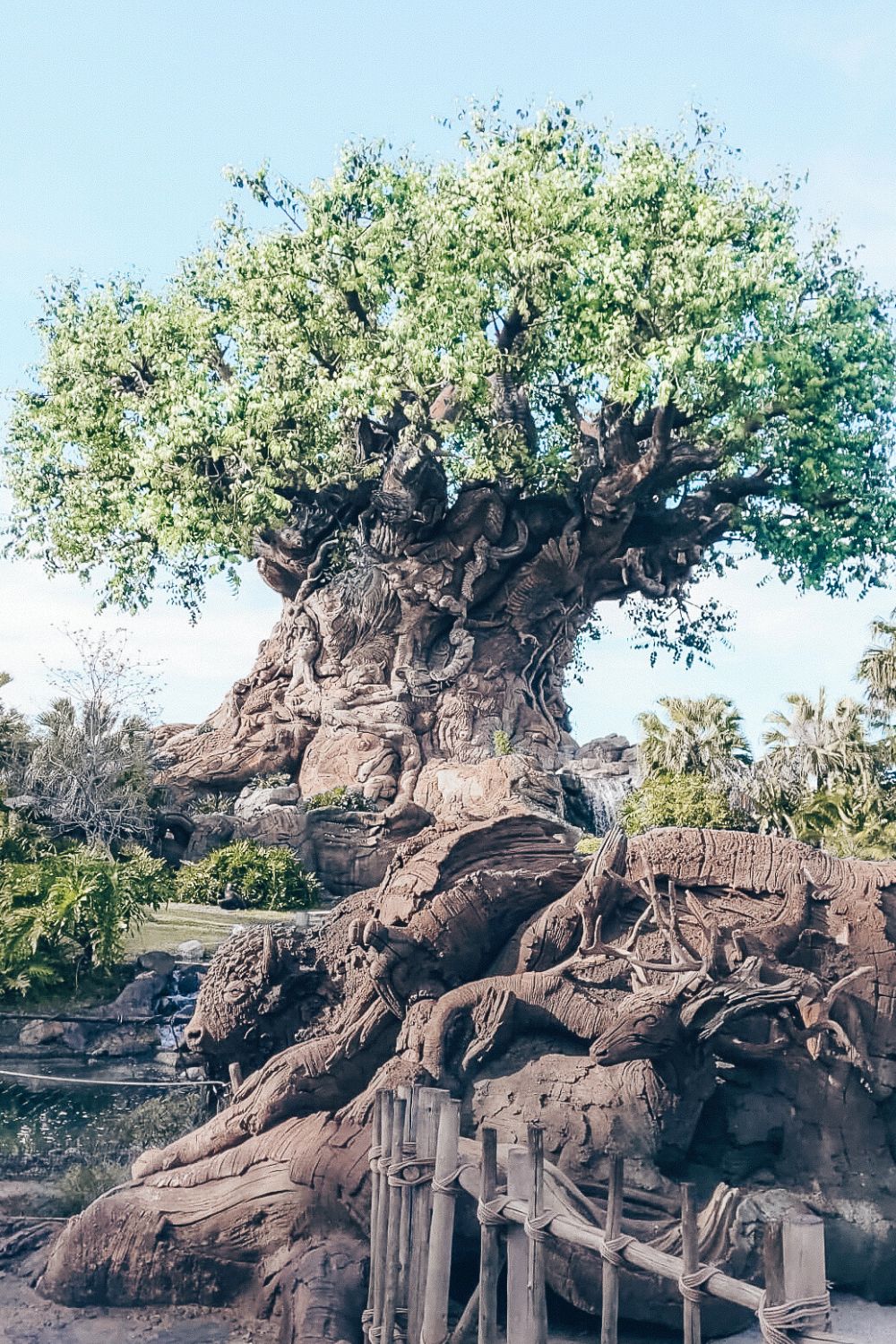 Tree of Life at Animal Kingdom