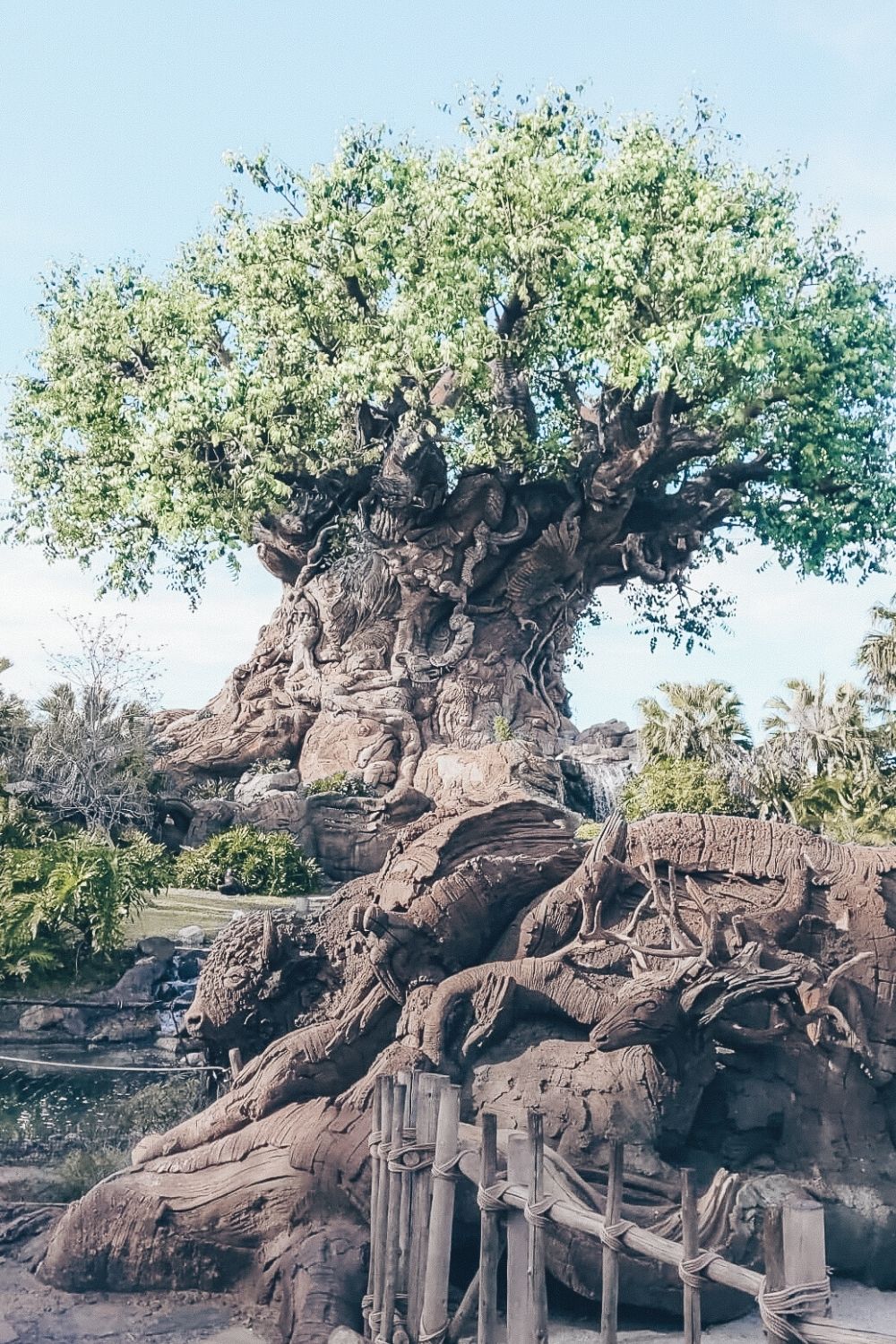 Tree of Life at Animal Kingdom in Disney World