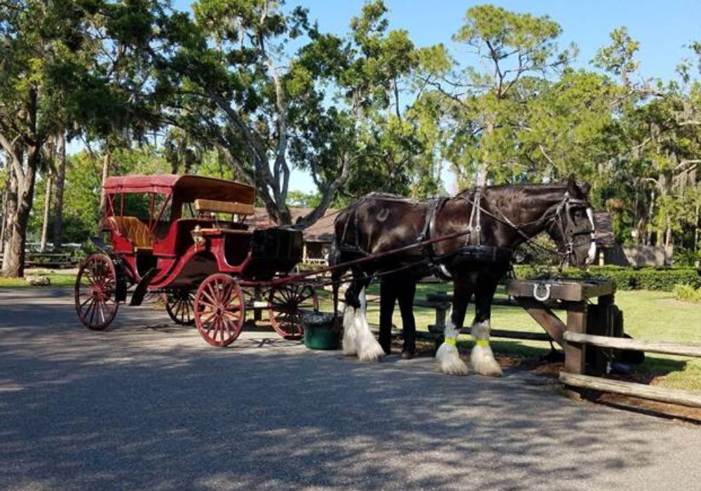 horse-drawn carriage at Disney's Port Orleans resort