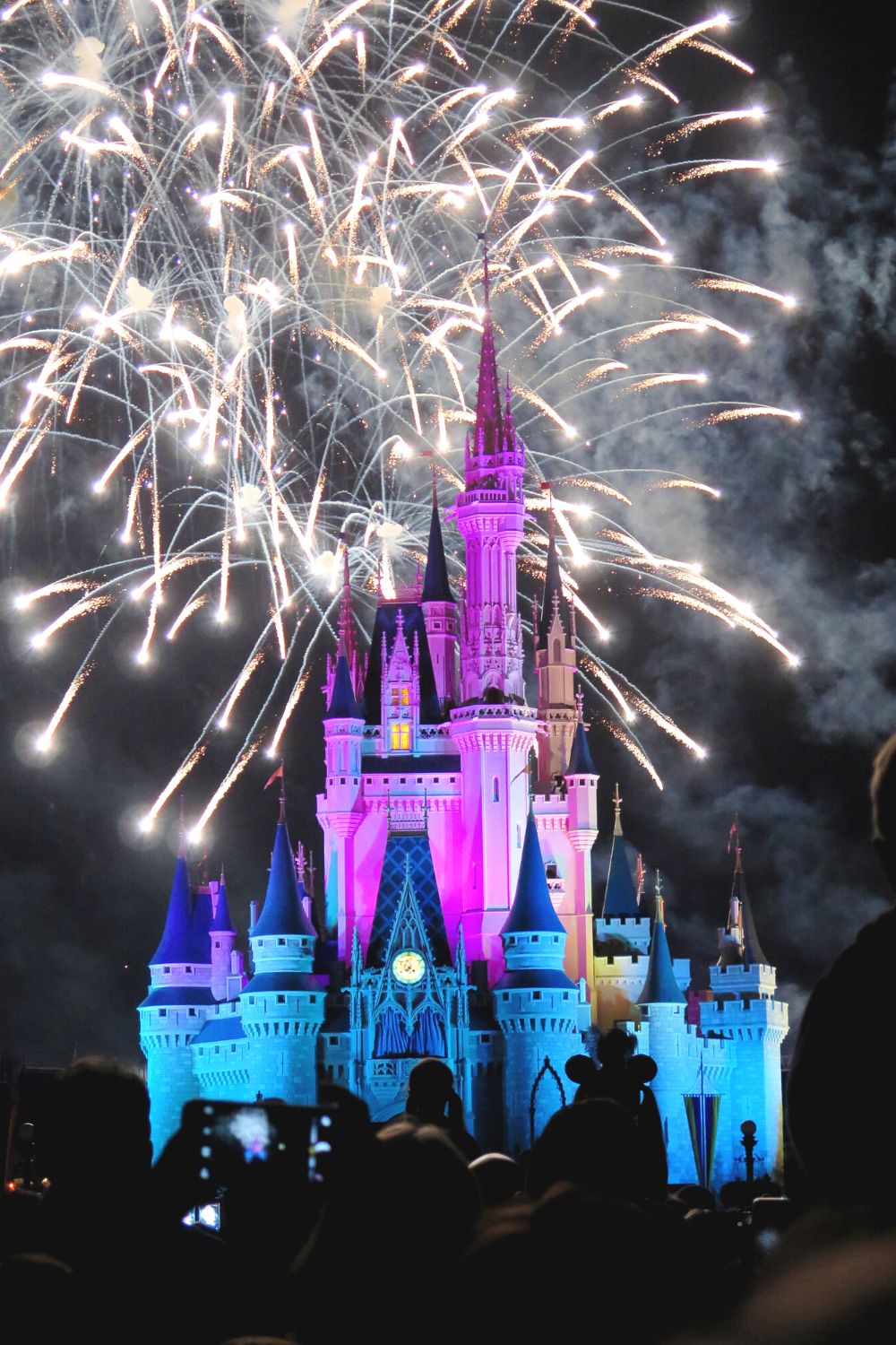Cinderella's Castle lit up with fireworks at night