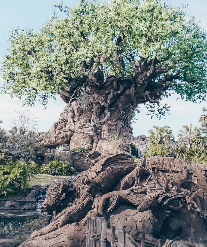 tree of life at animal kingdom in disney world