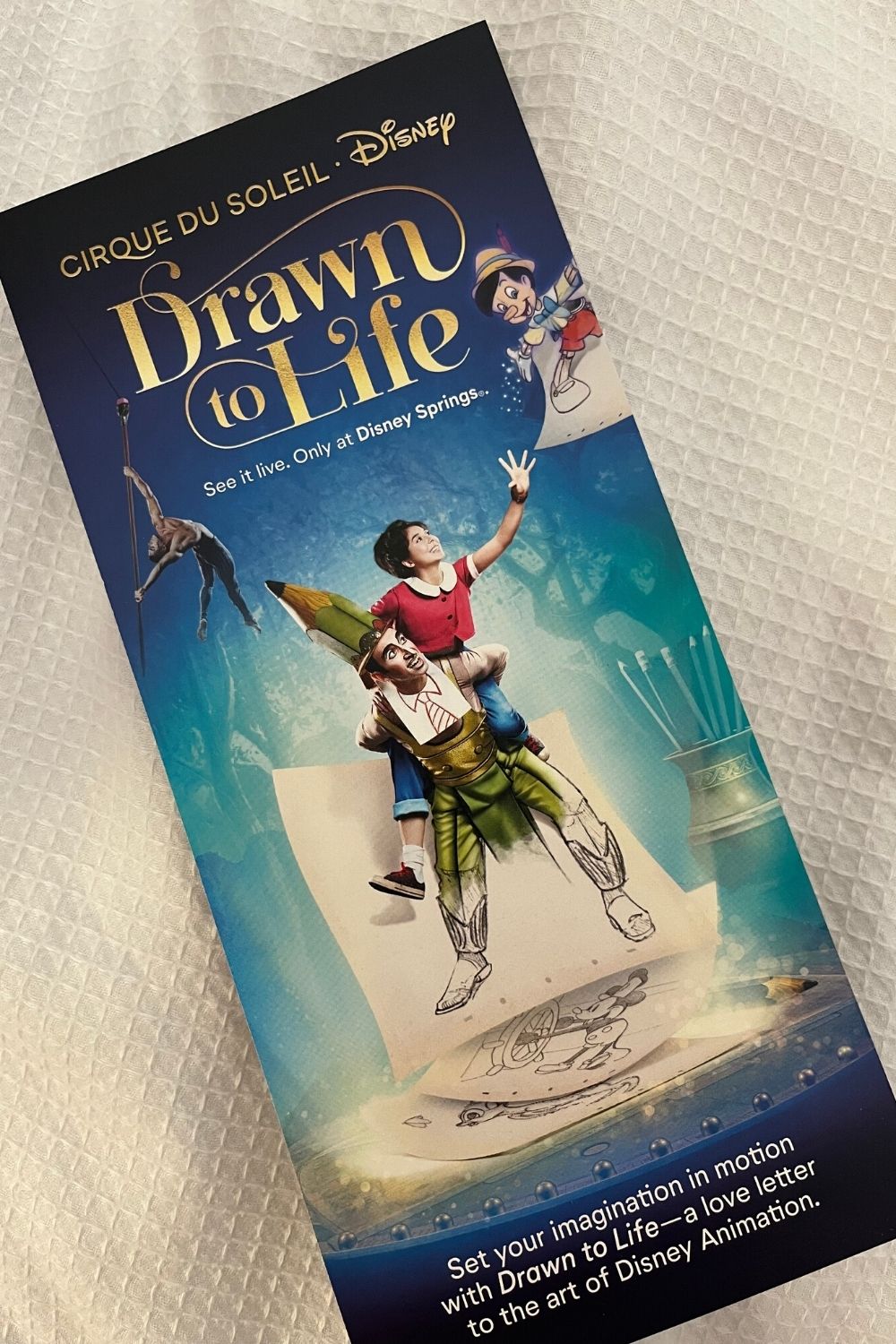 Brochure for Drawn to Life at Disney Springs
