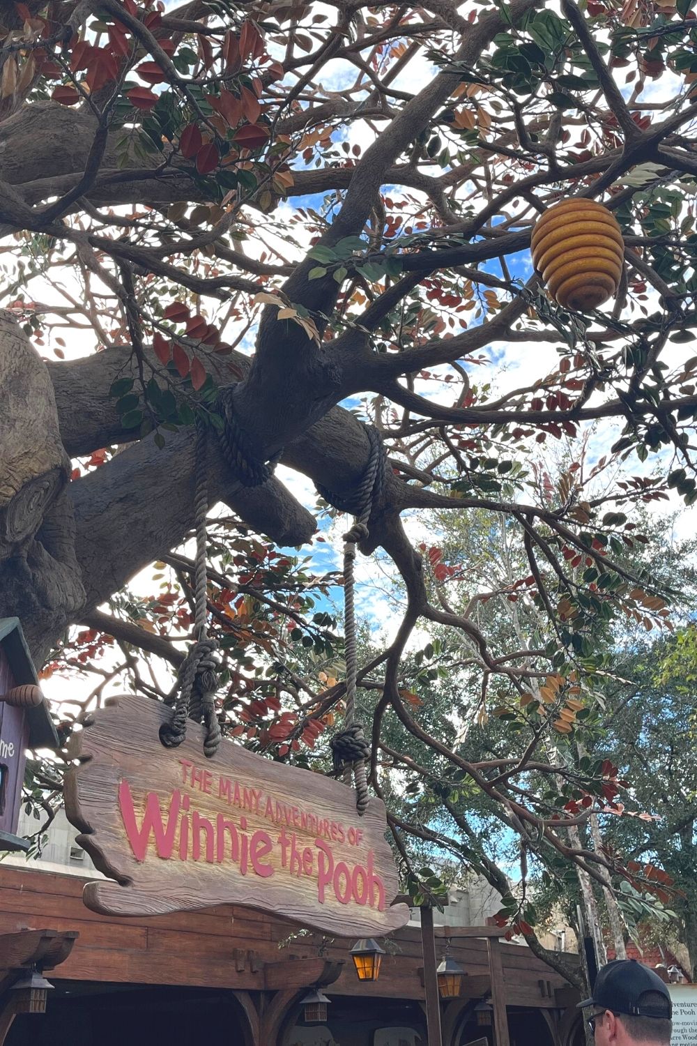 sign for the Many Adventures of Winnie the Pooh ride at Disney World