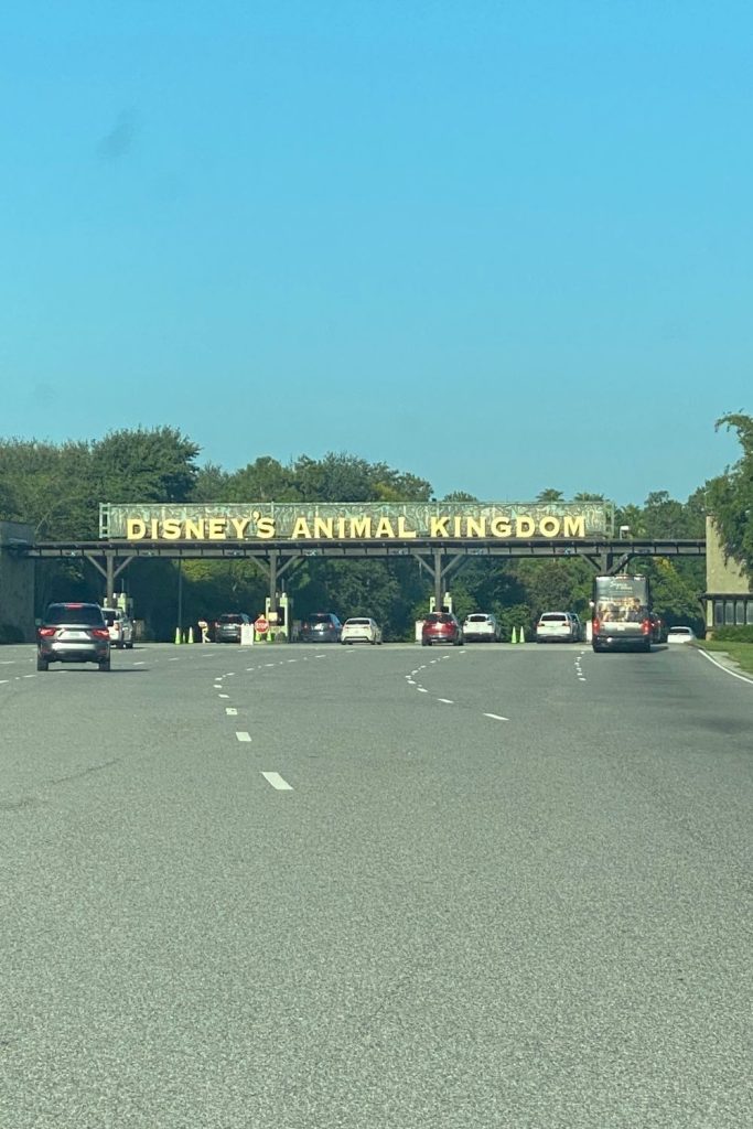 picture of animal kingdom sign