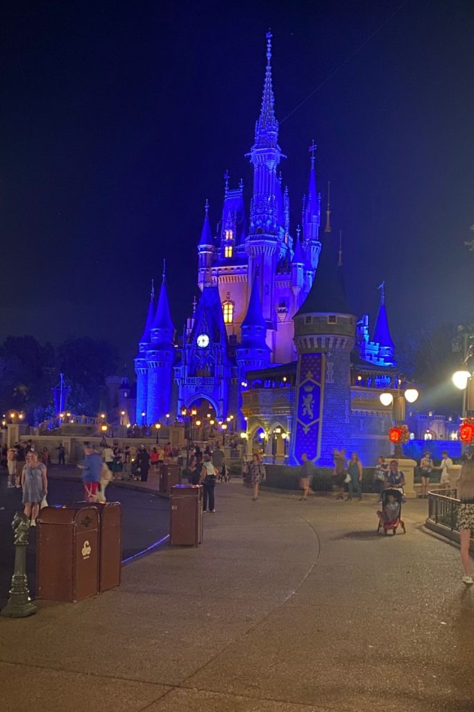 pic of cinderella's castle