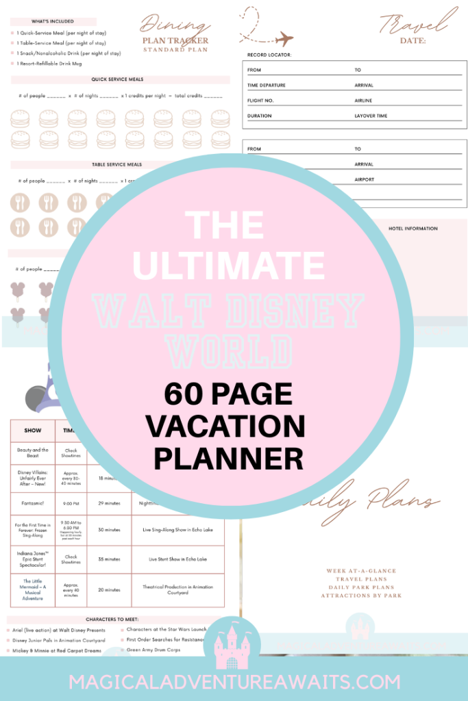 picture of a Pinterest pin image showcasing a disney world planner